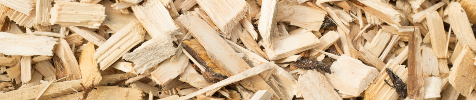 A pile of arborist wood chips